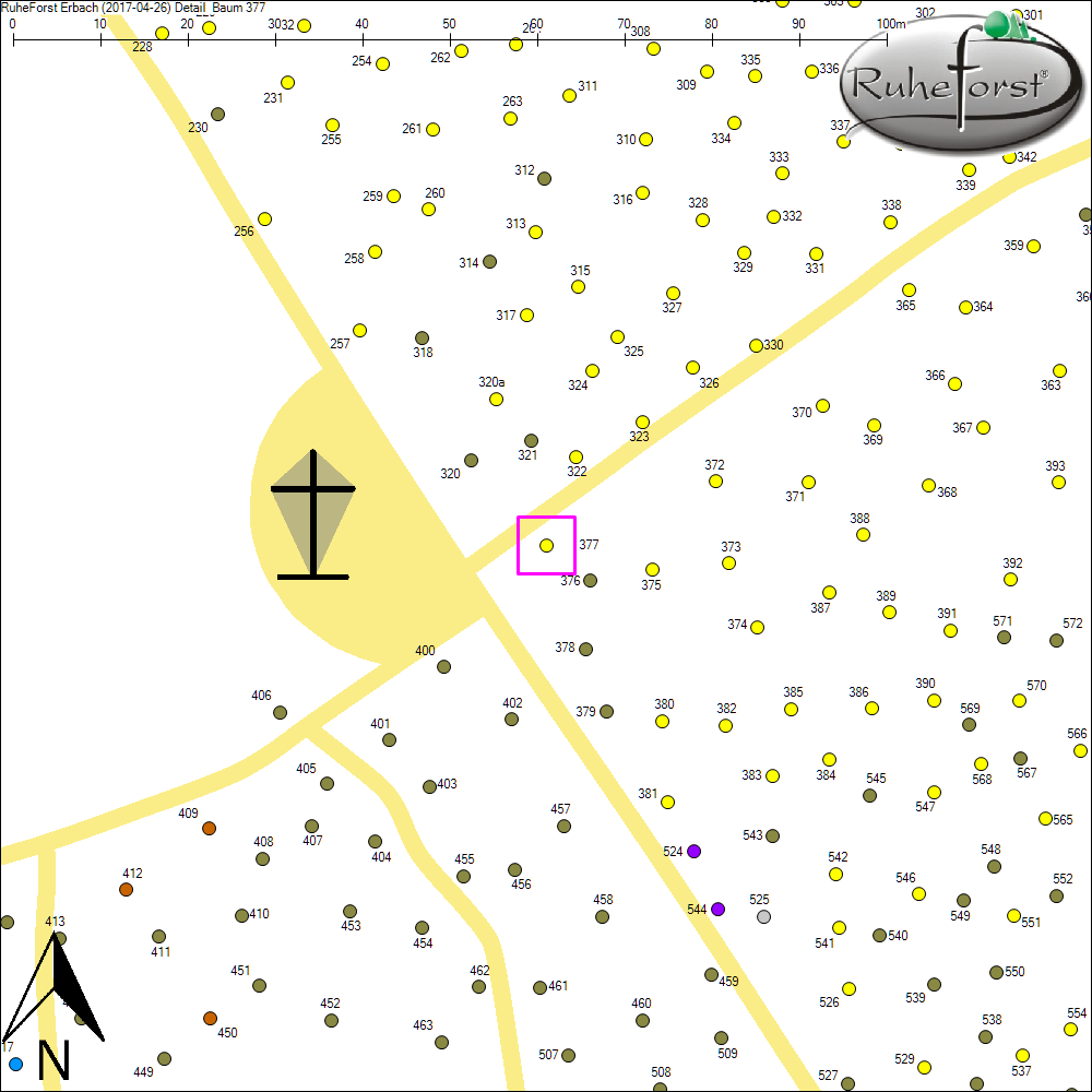 Detailkarte zu Baum 377