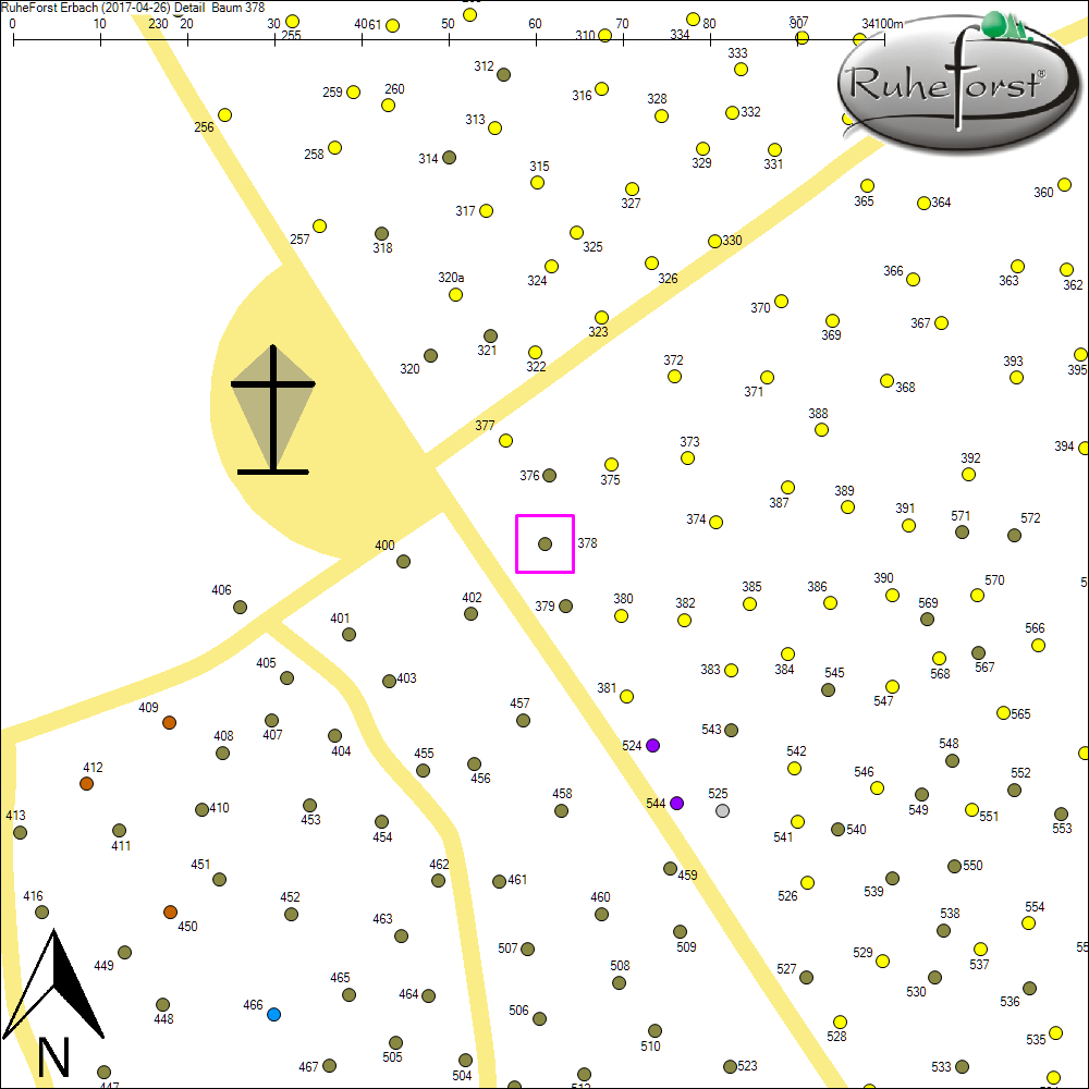 Detailkarte zu Baum 378