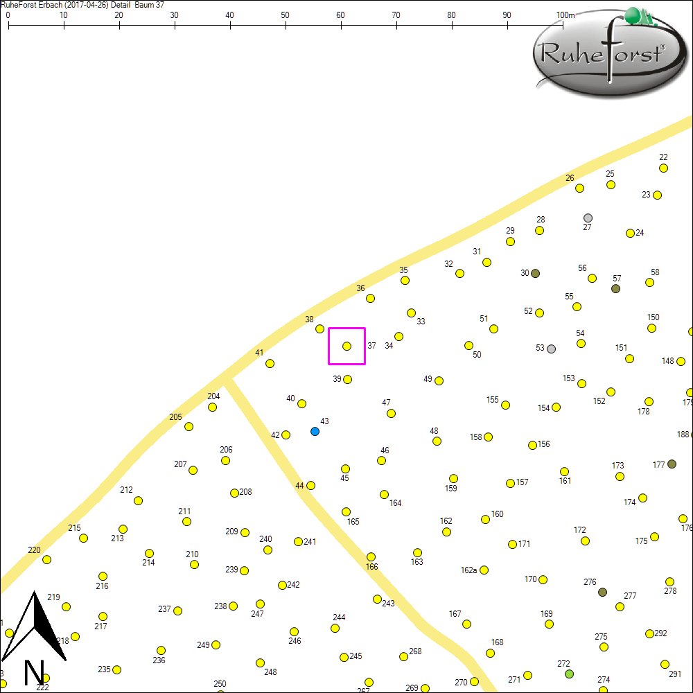 Detailkarte zu Baum 37