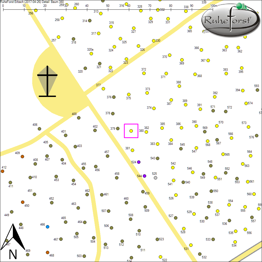 Detailkarte zu Baum 380
