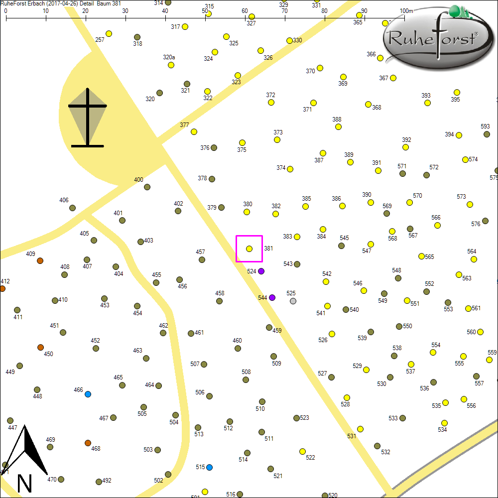 Detailkarte zu Baum 381