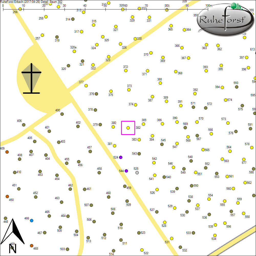 Detailkarte zu Baum 382