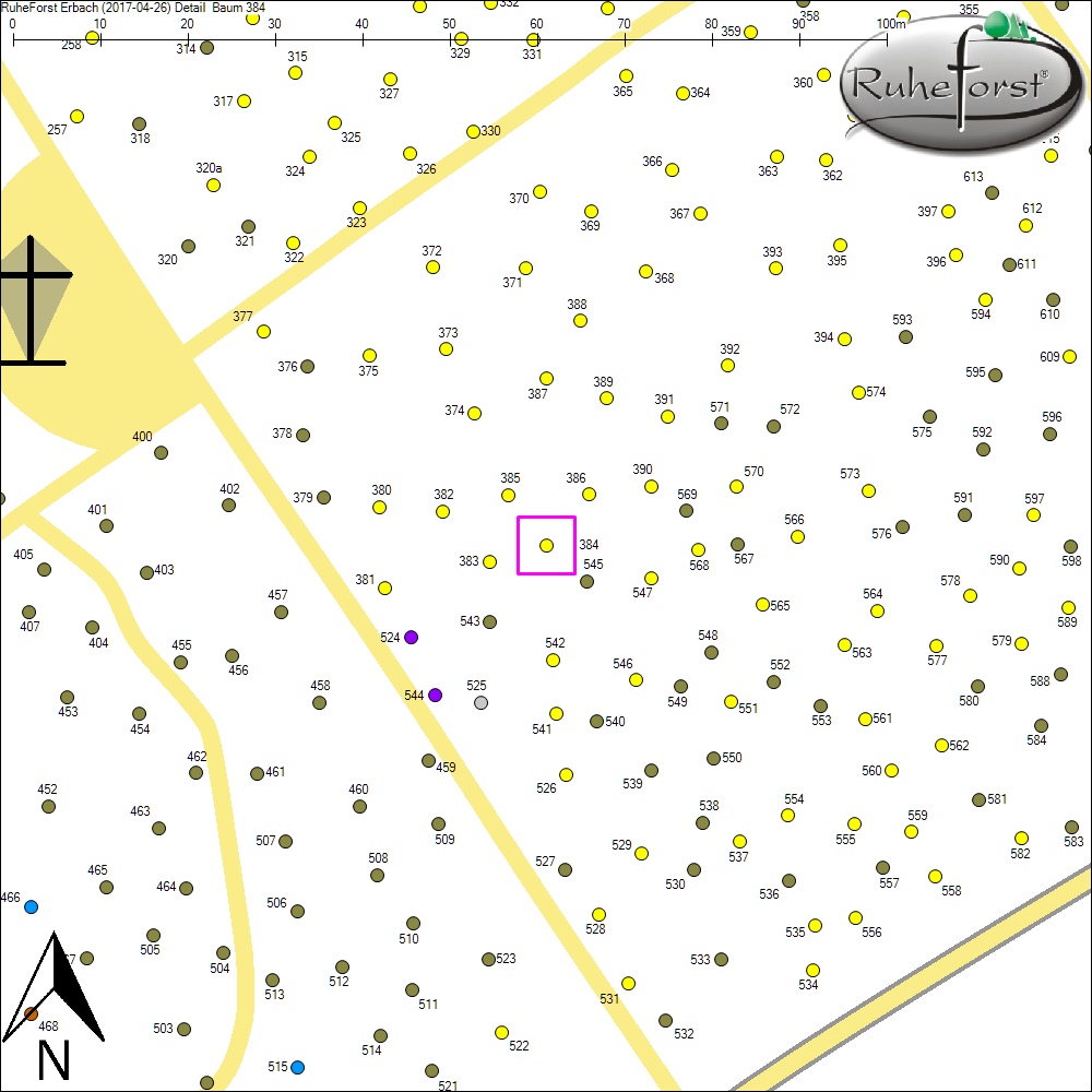 Detailkarte zu Baum 384