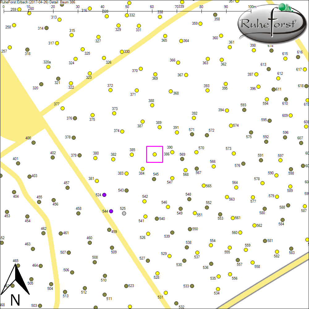 Detailkarte zu Baum 386