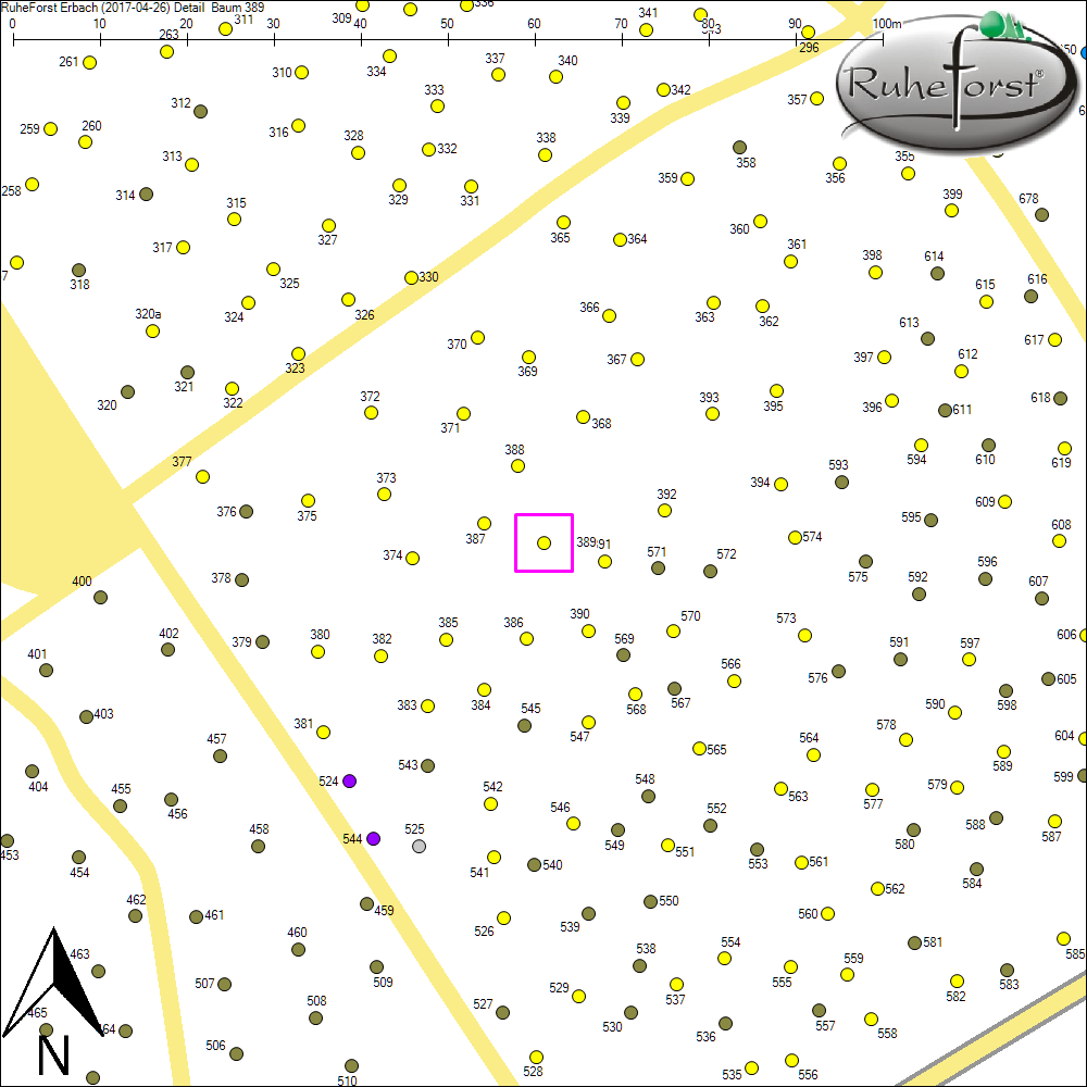 Detailkarte zu Baum 389