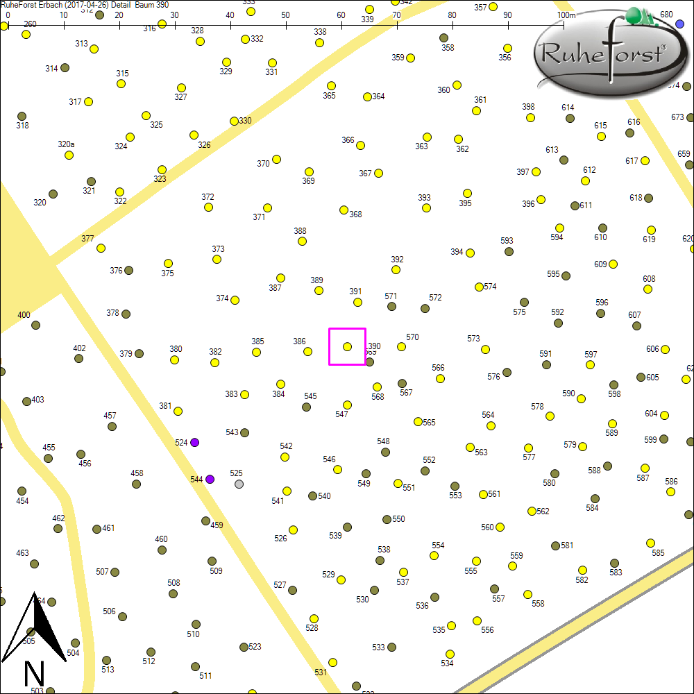 Detailkarte zu Baum 390