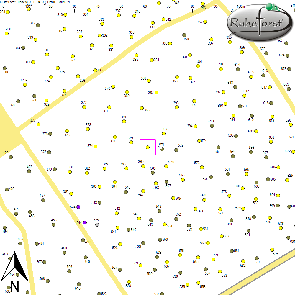 Detailkarte zu Baum 391