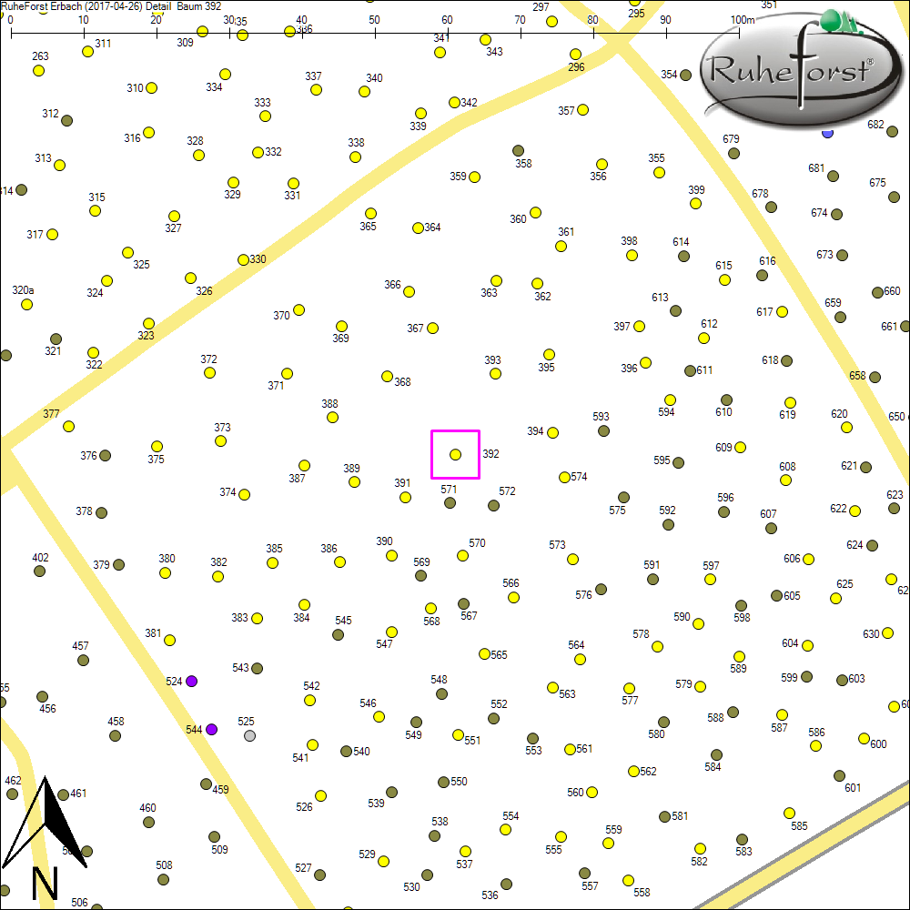 Detailkarte zu Baum 392