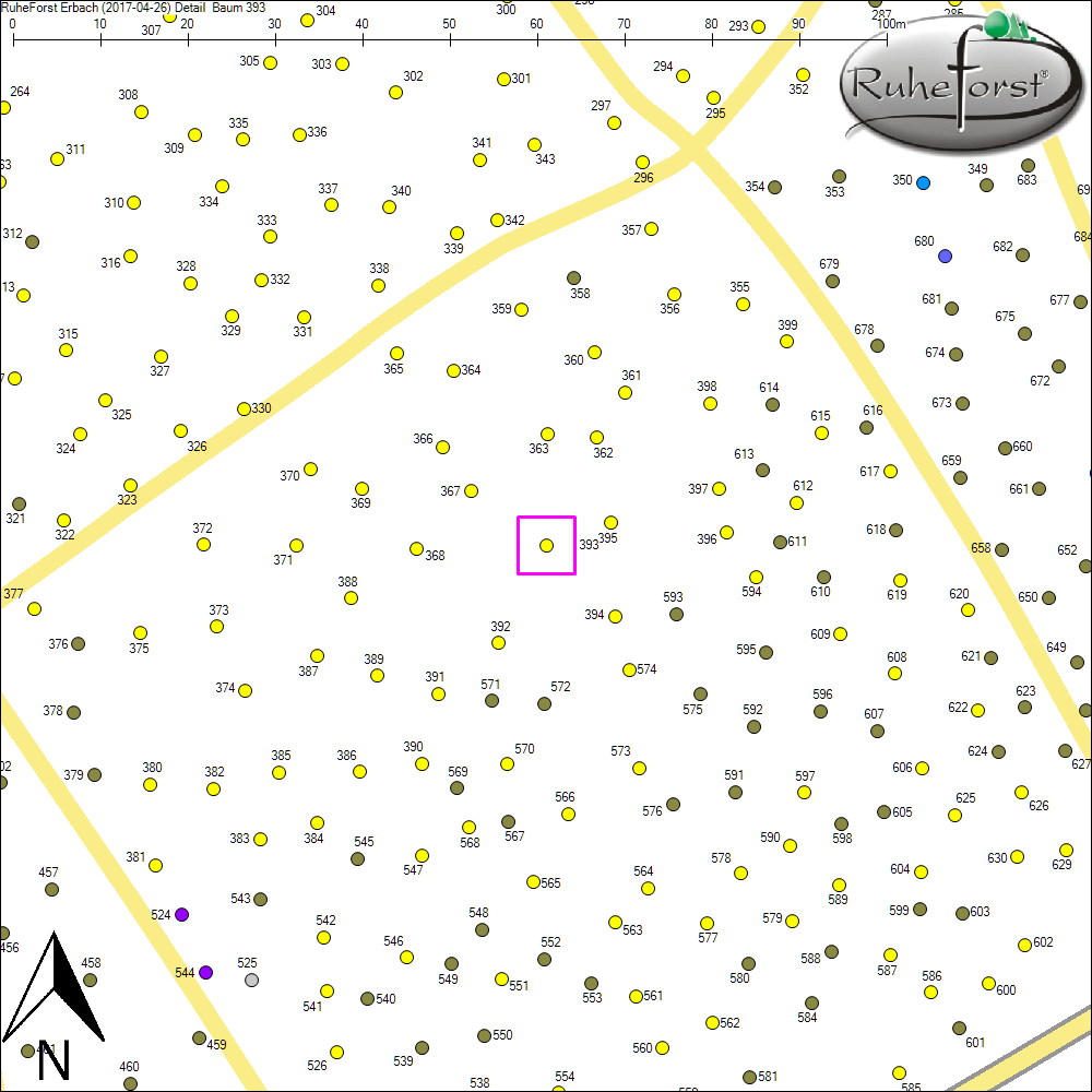Detailkarte zu Baum 393