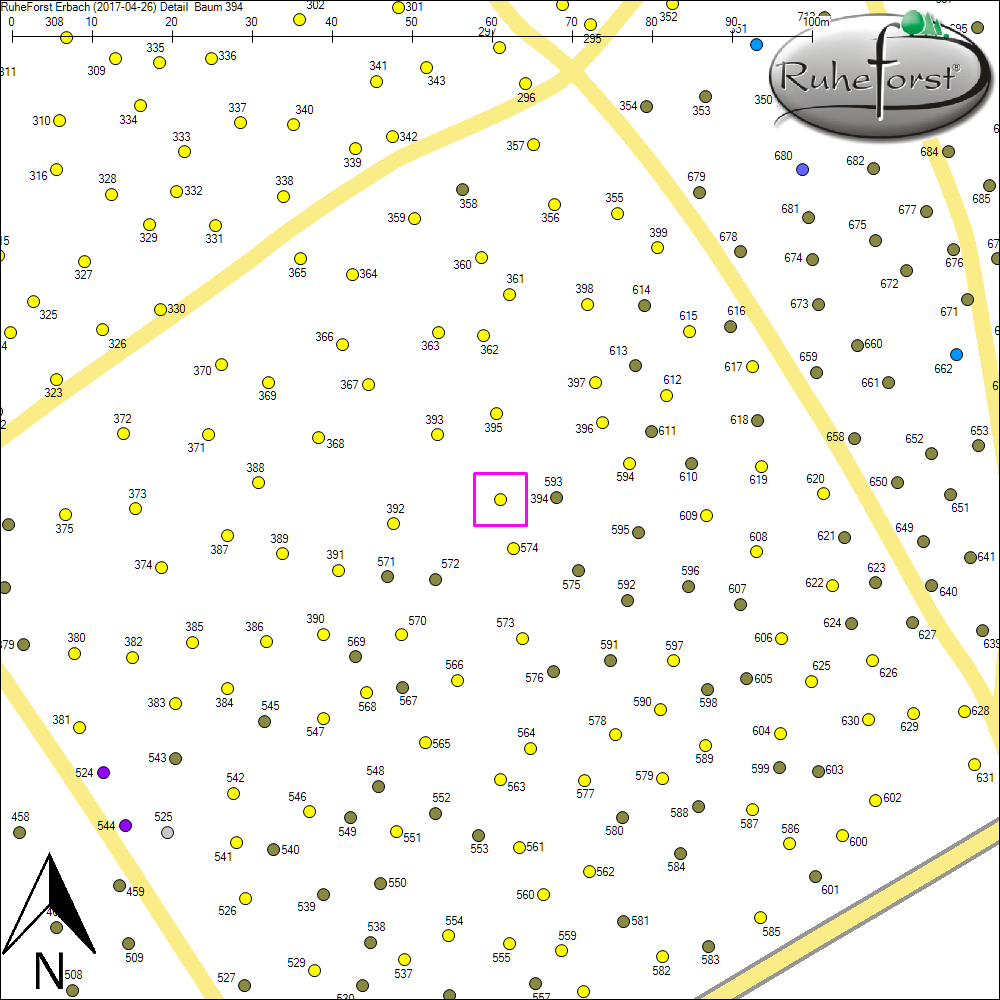 Detailkarte zu Baum 394