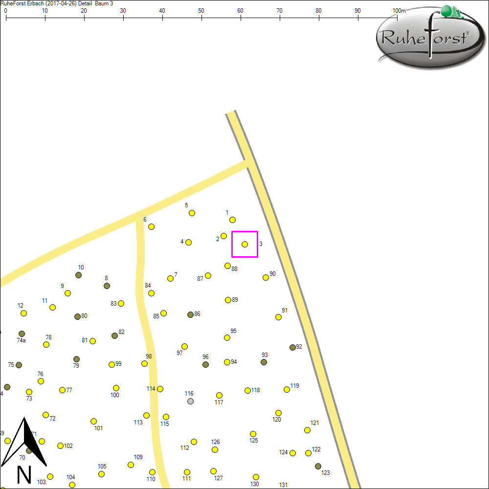 Detailkarte zu Baum 3