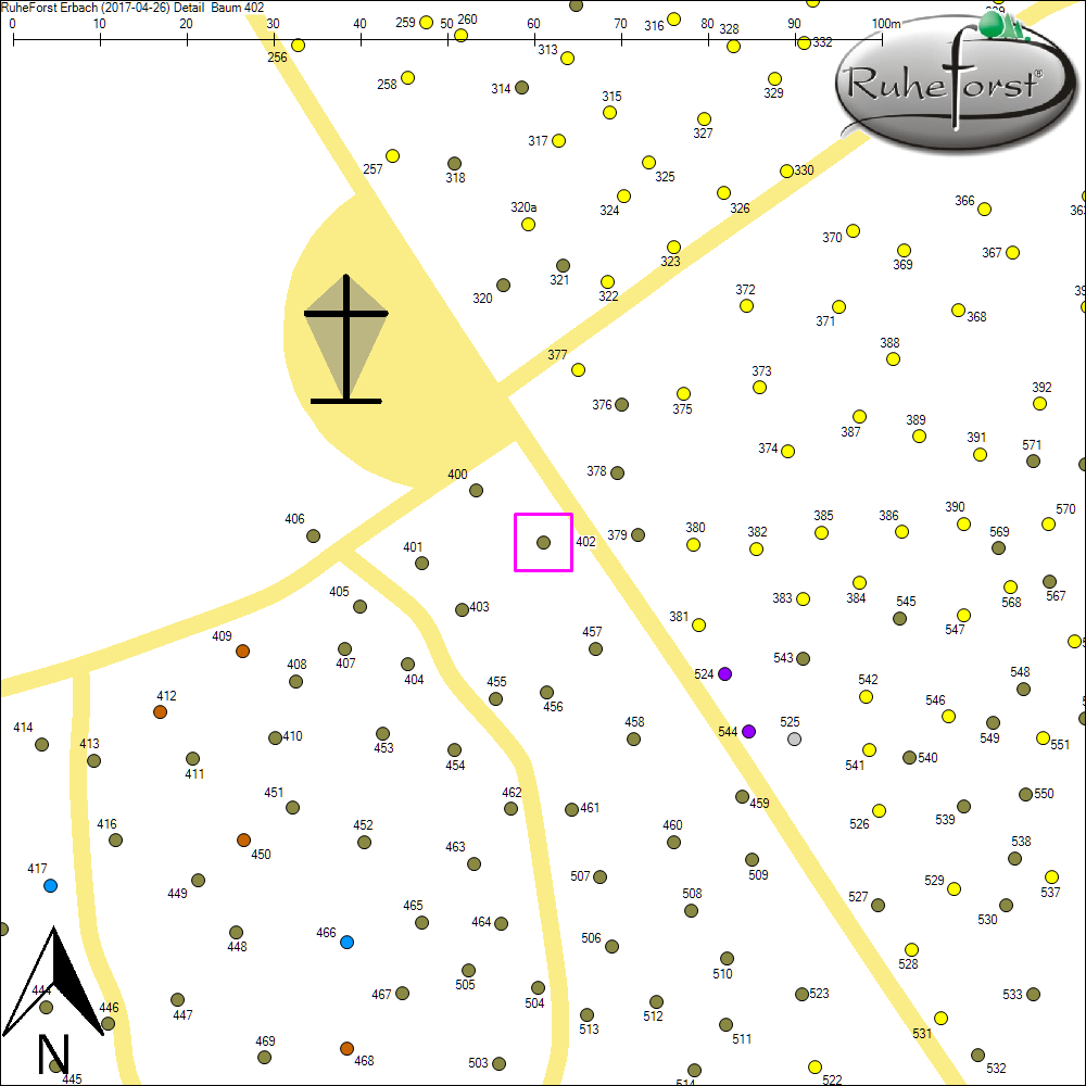Detailkarte zu Baum 402