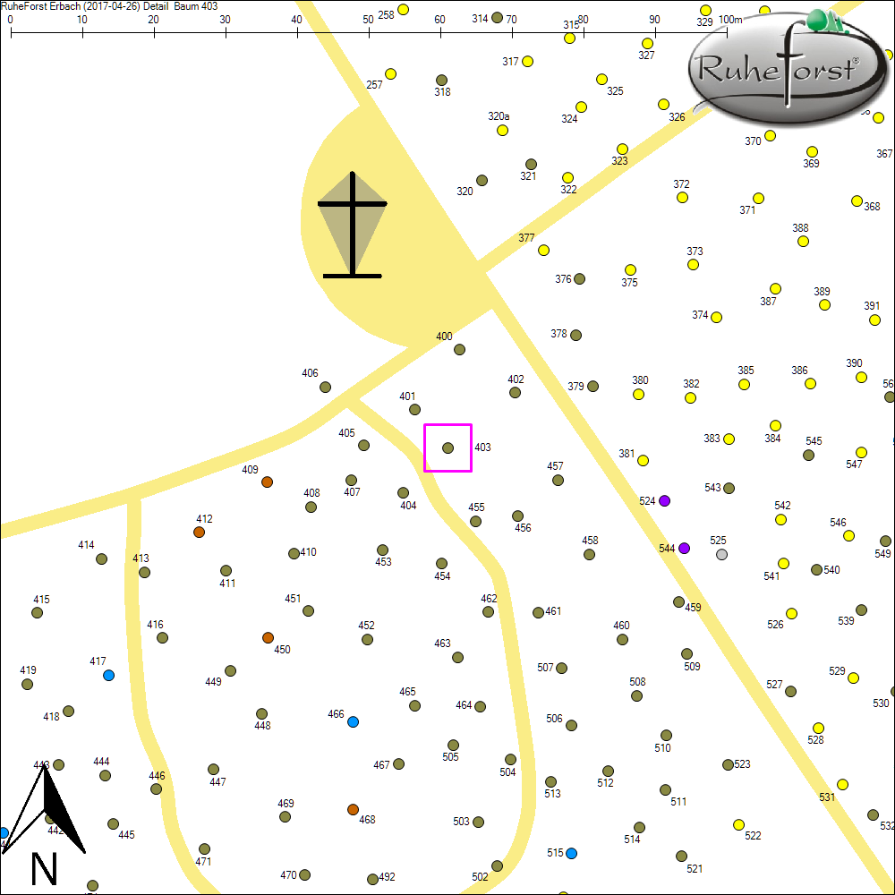 Detailkarte zu Baum 403