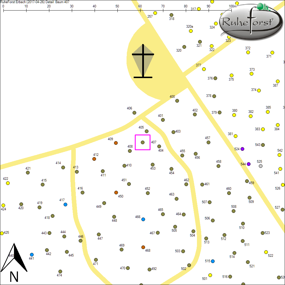 Detailkarte zu Baum 407