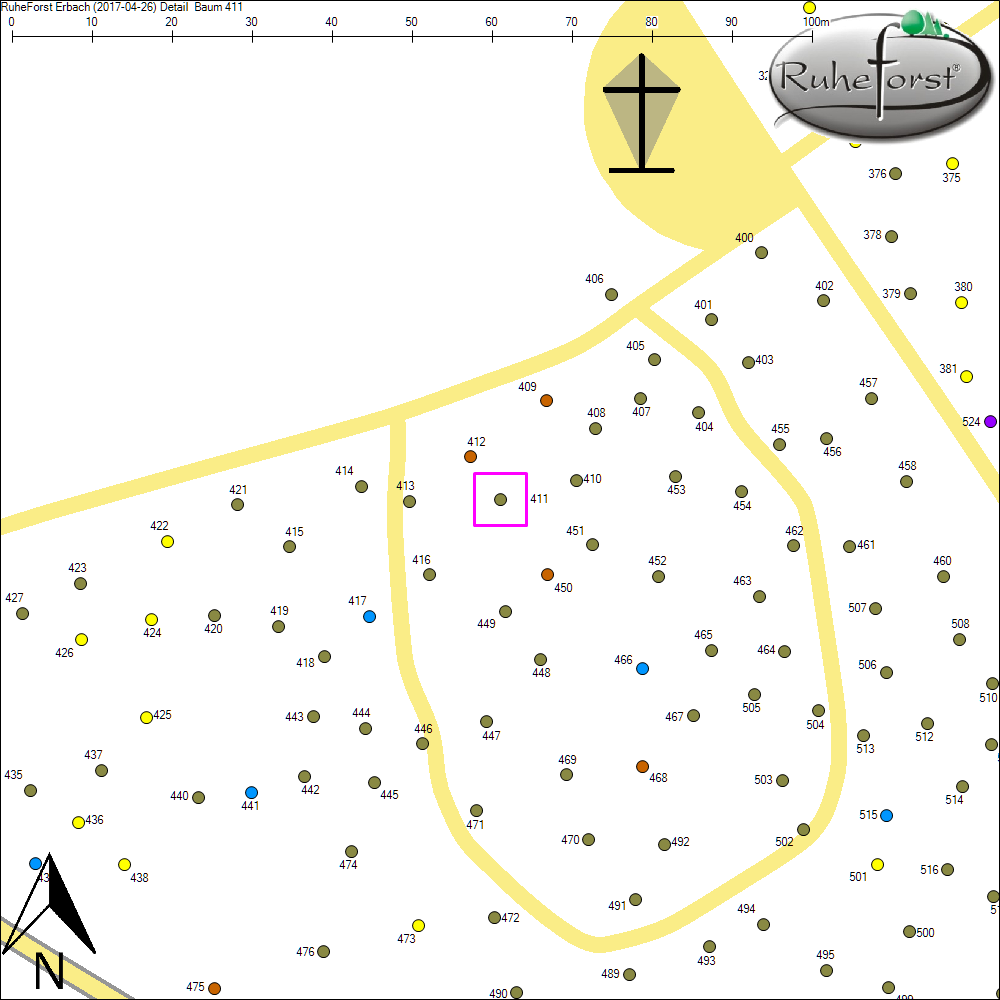 Detailkarte zu Baum 411