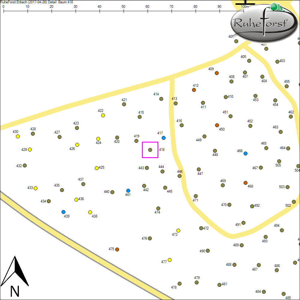 Detailkarte zu Baum 418