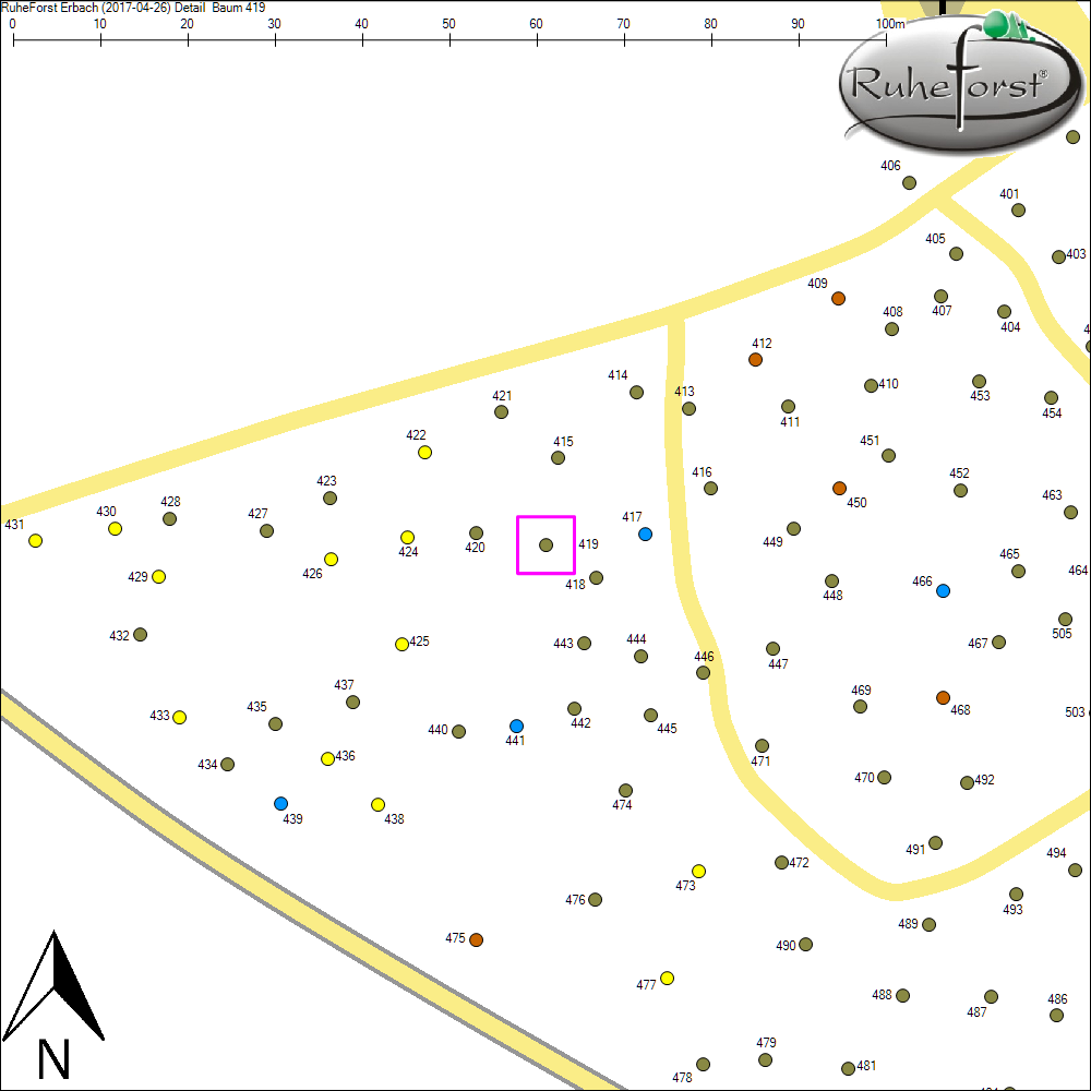 Detailkarte zu Baum 419