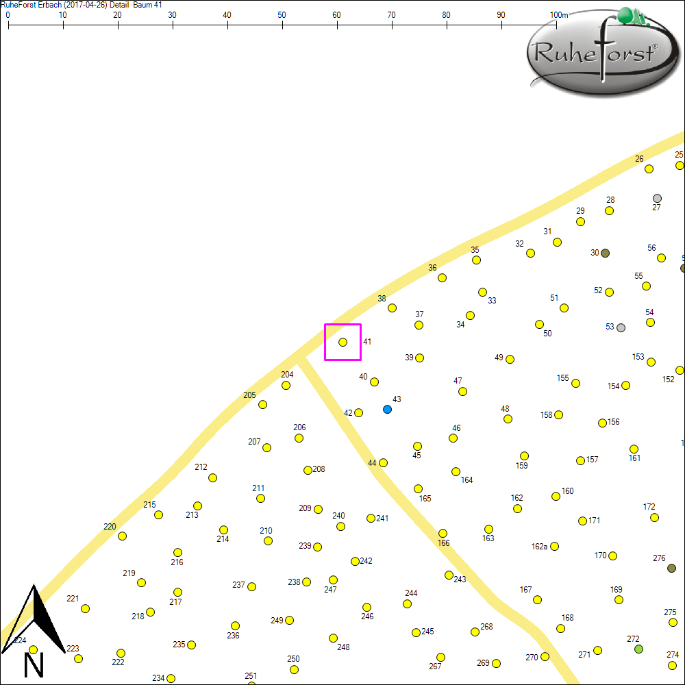 Detailkarte zu Baum 41