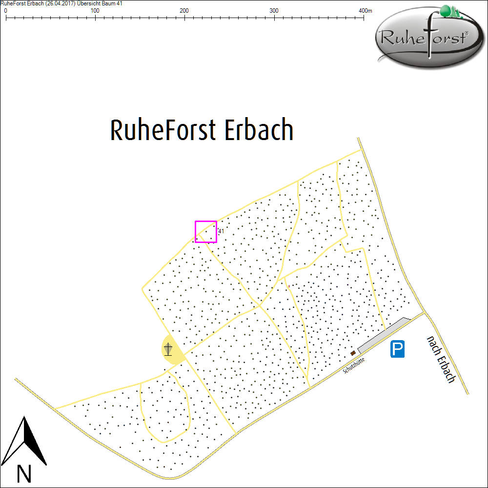 &Uuml;bersichtskarte zu Baum 41