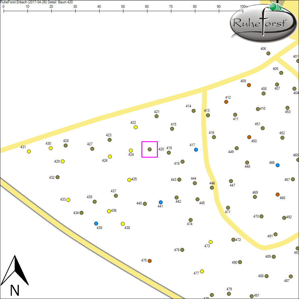 Detailkarte zu Baum 420