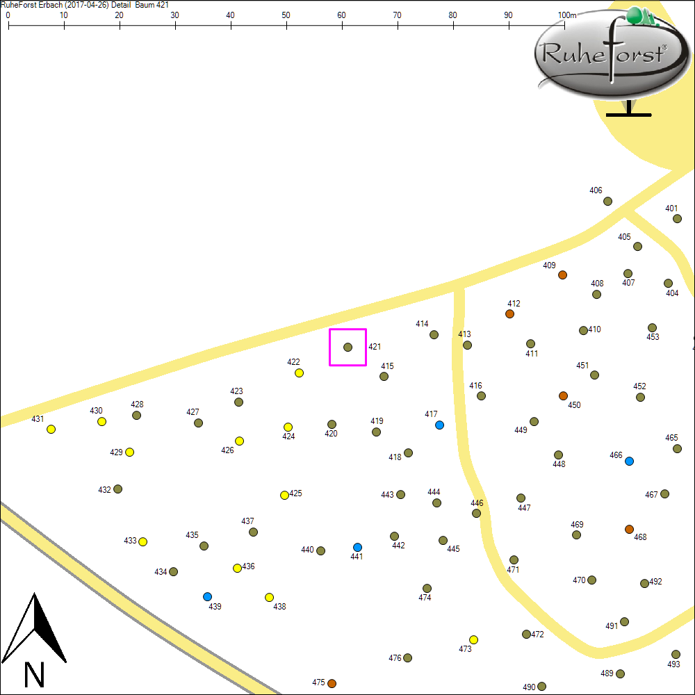 Detailkarte zu Baum 421