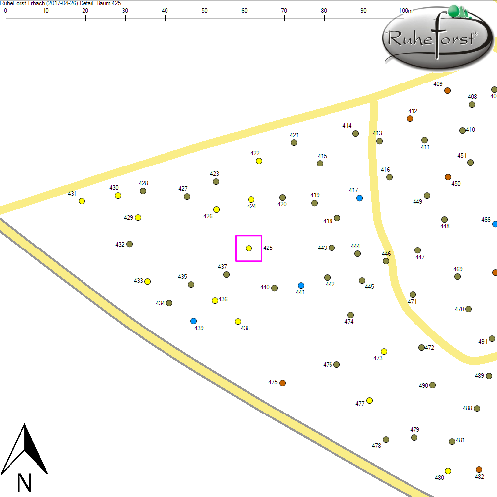 Detailkarte zu Baum 425