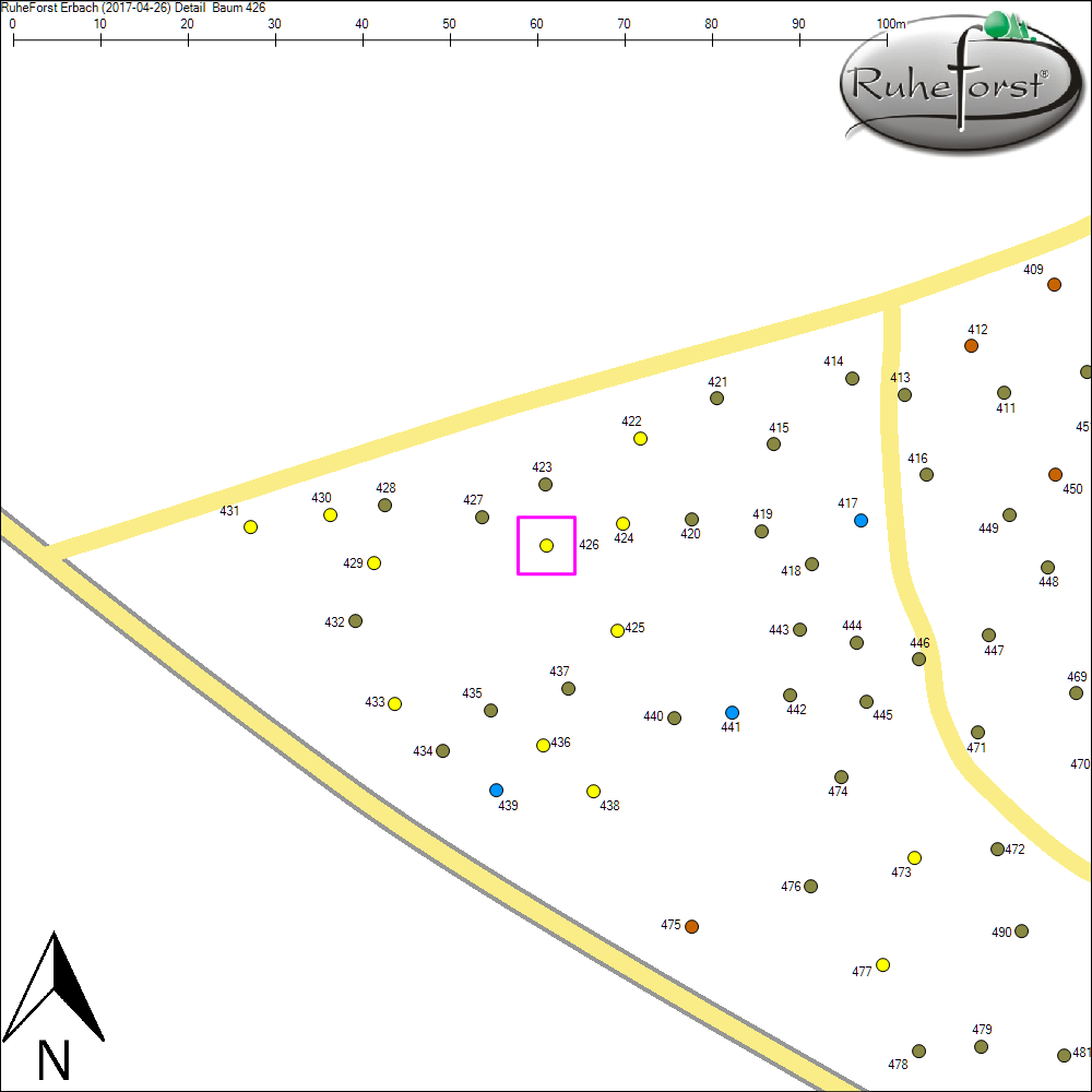 Detailkarte zu Baum 426