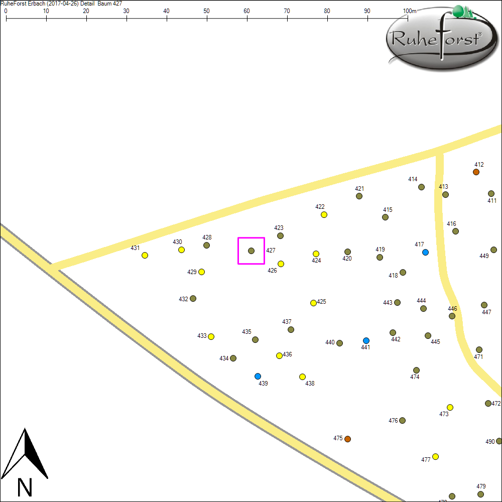 Detailkarte zu Baum 427