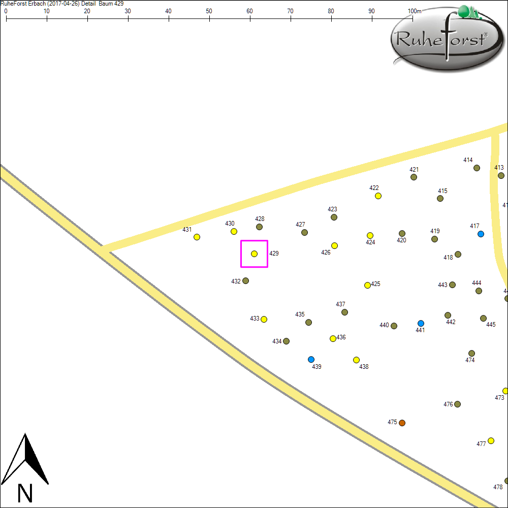 Detailkarte zu Baum 429