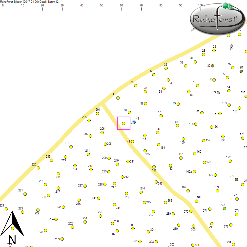 Detailkarte zu Baum 42