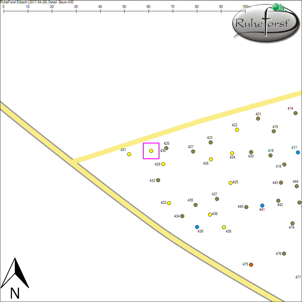 Detailkarte zu Baum 430
