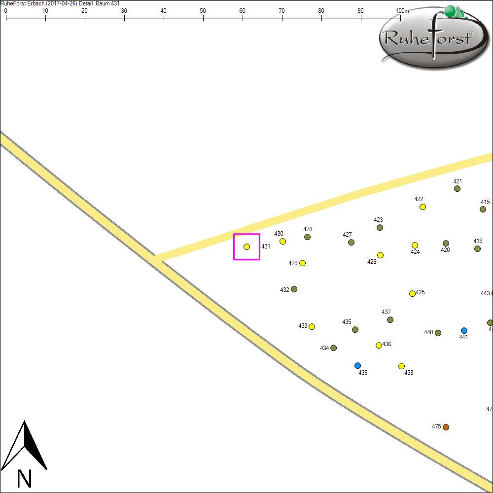 Detailkarte zu Baum 431