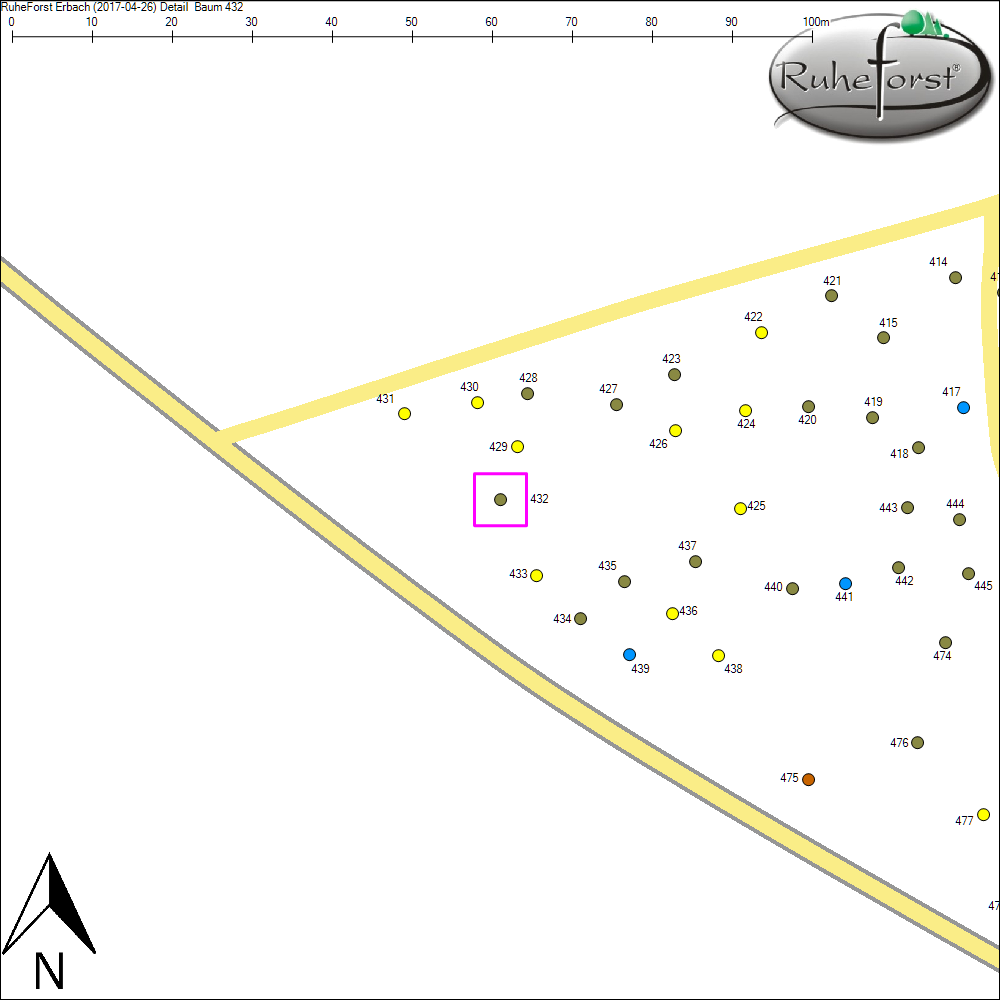 Detailkarte zu Baum 432