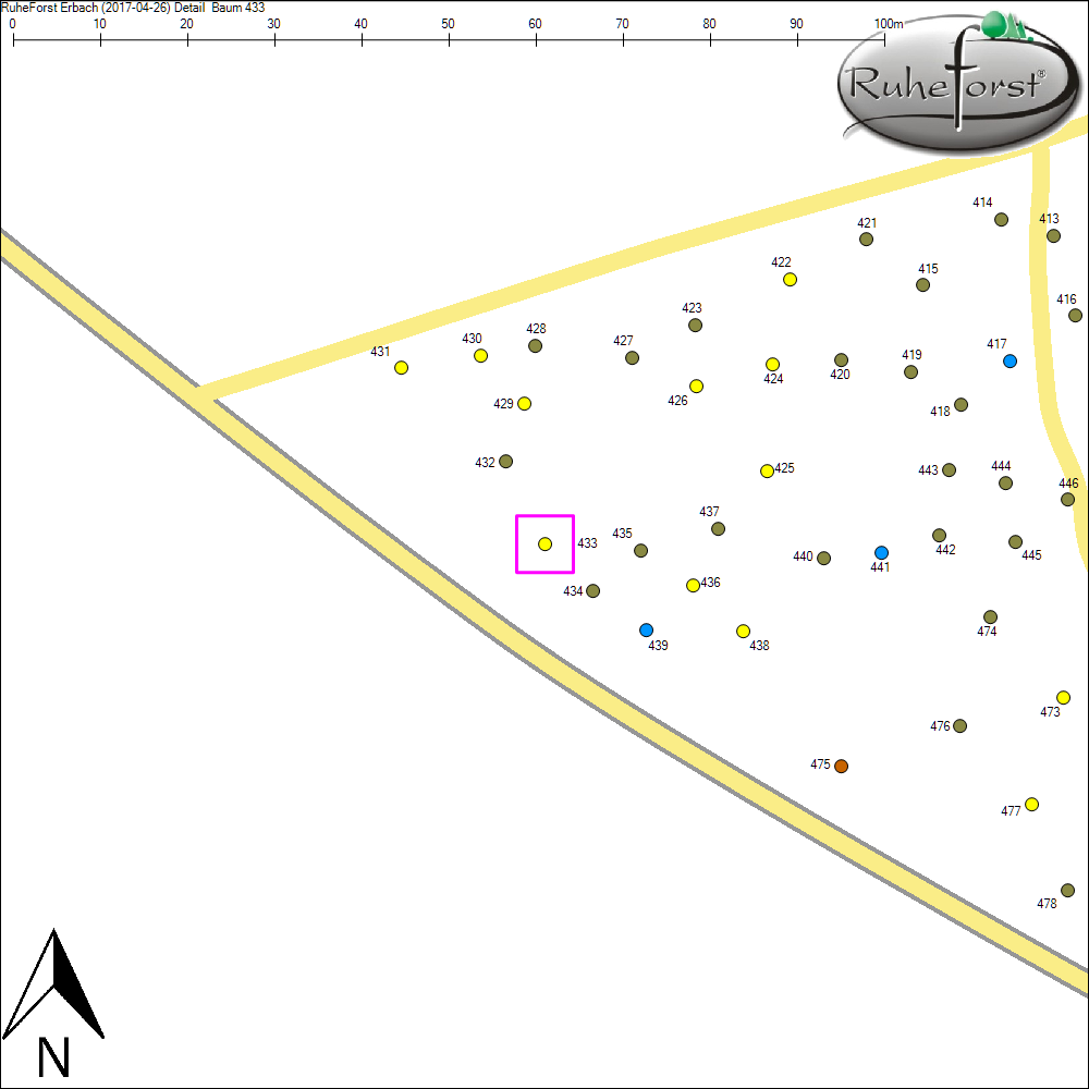 Detailkarte zu Baum 433