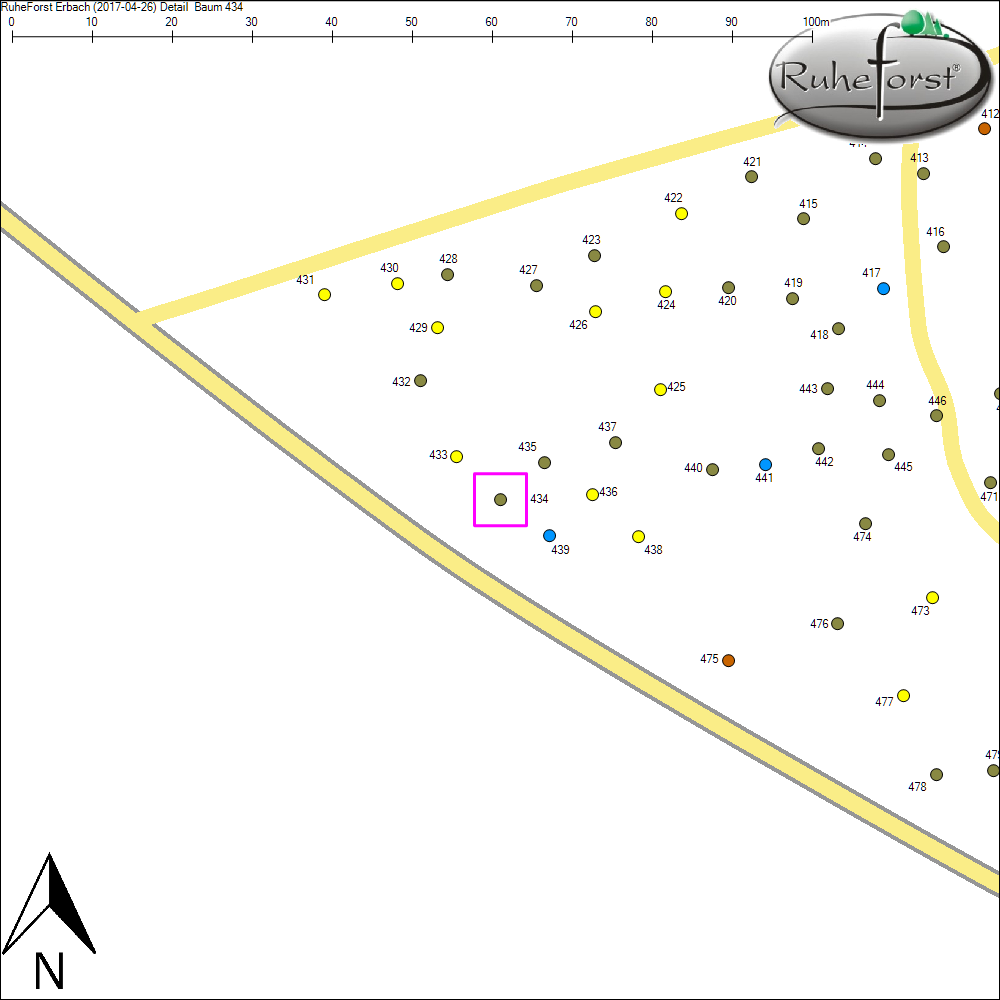 Detailkarte zu Baum 434