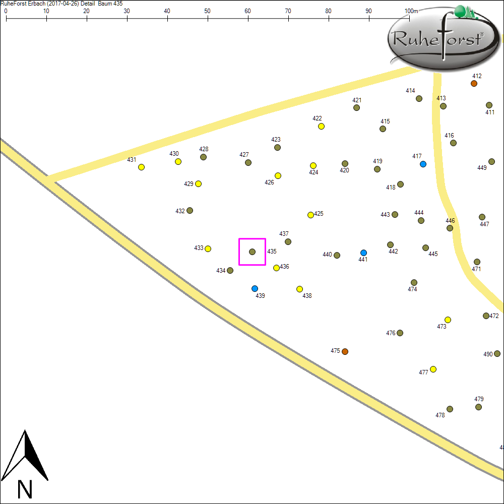 Detailkarte zu Baum 435