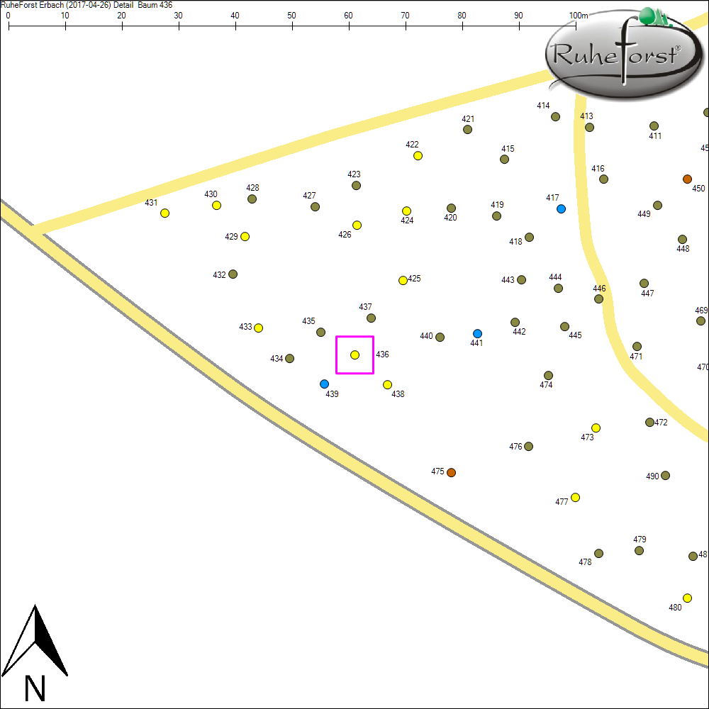 Detailkarte zu Baum 436