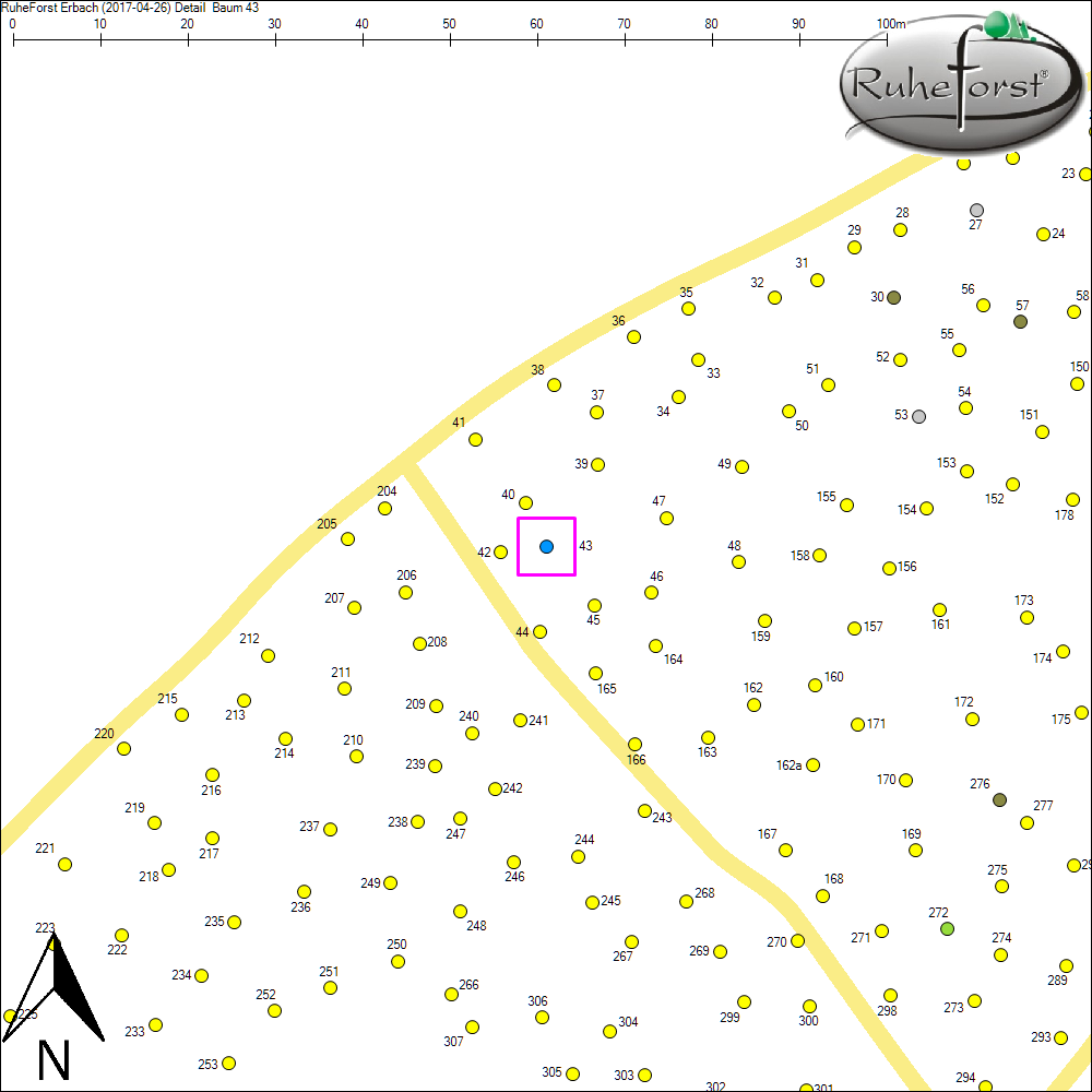 Detailkarte zu Baum 43