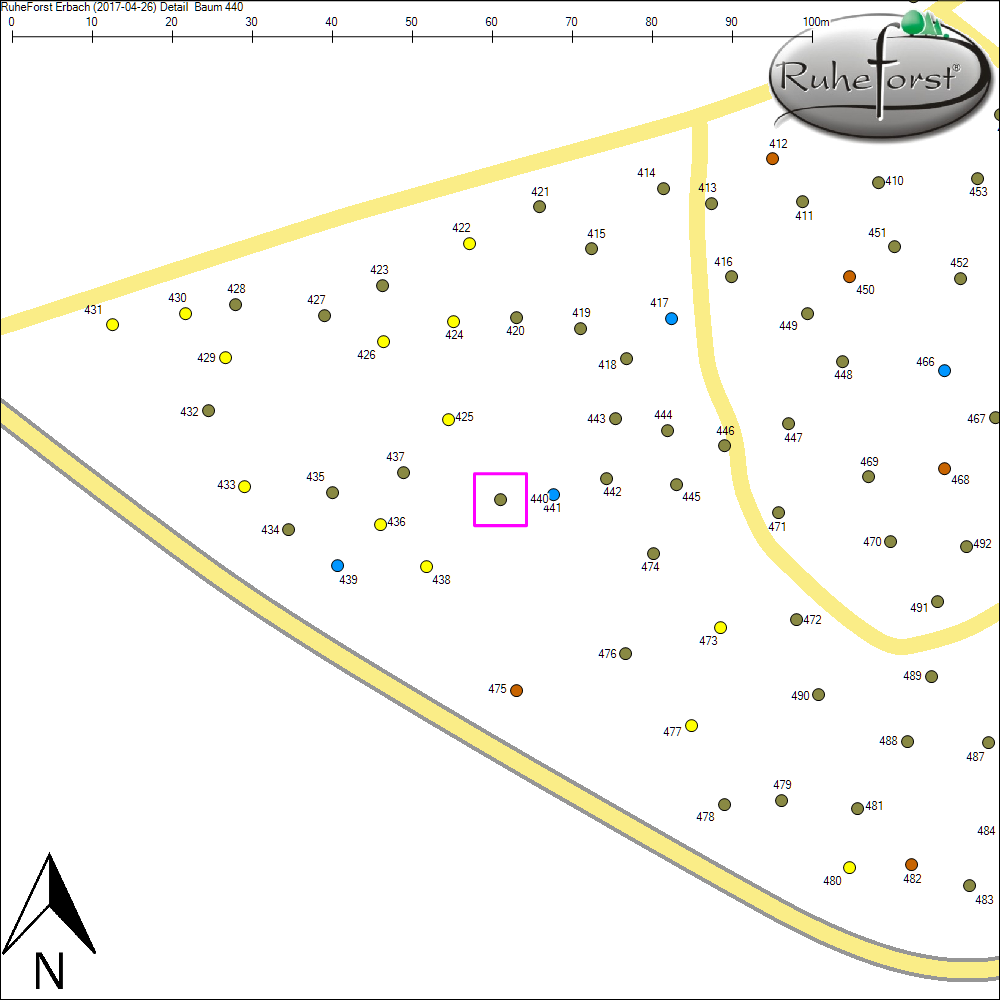 Detailkarte zu Baum 440