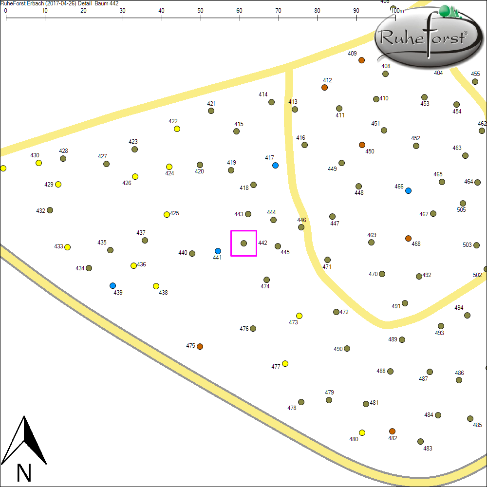 Detailkarte zu Baum 442