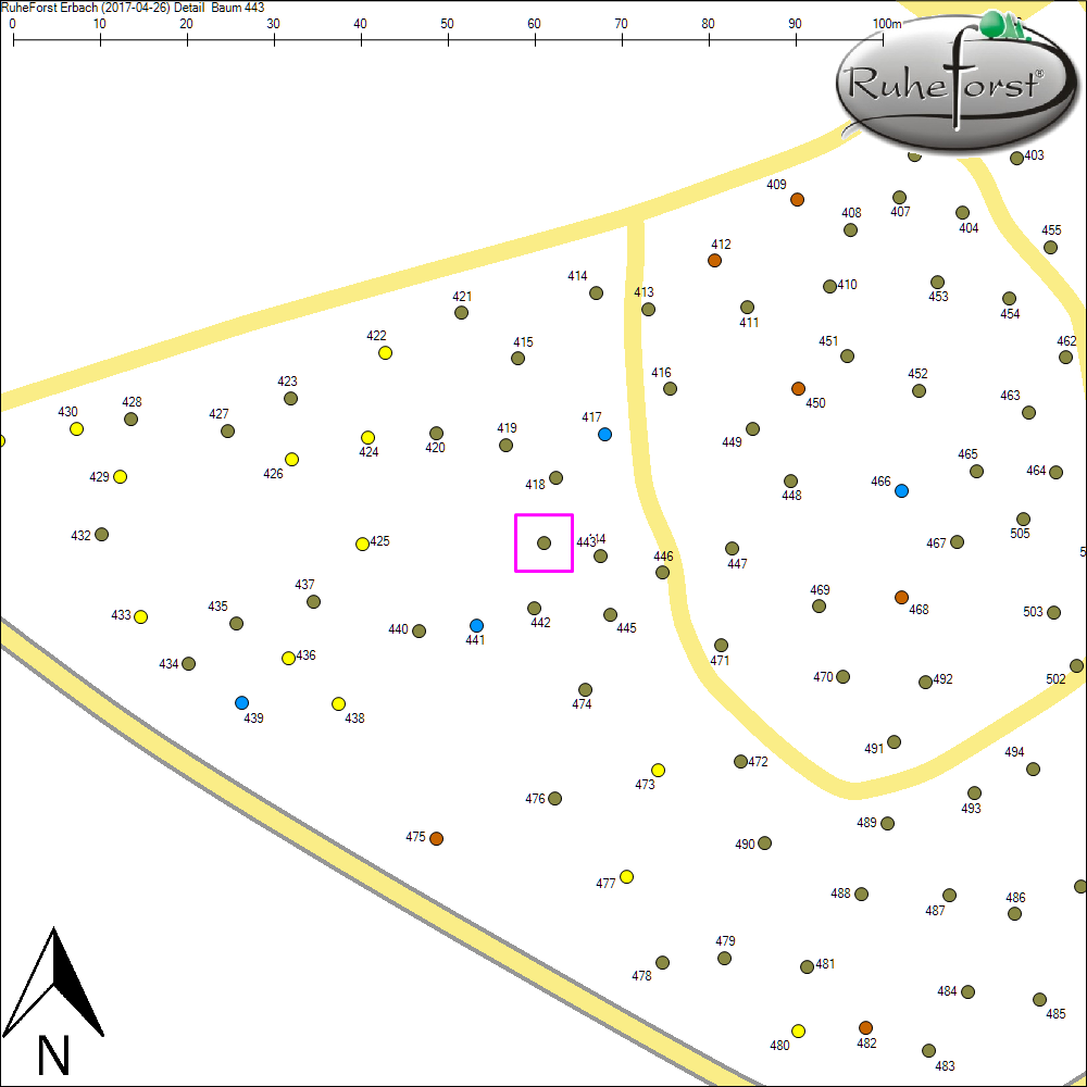 Detailkarte zu Baum 443