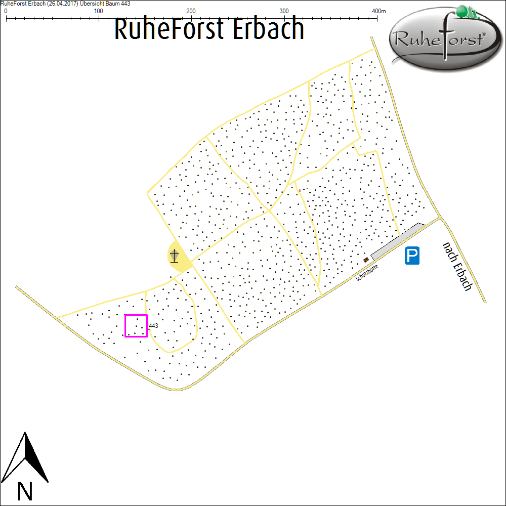 &Uuml;bersichtskarte zu Baum 443