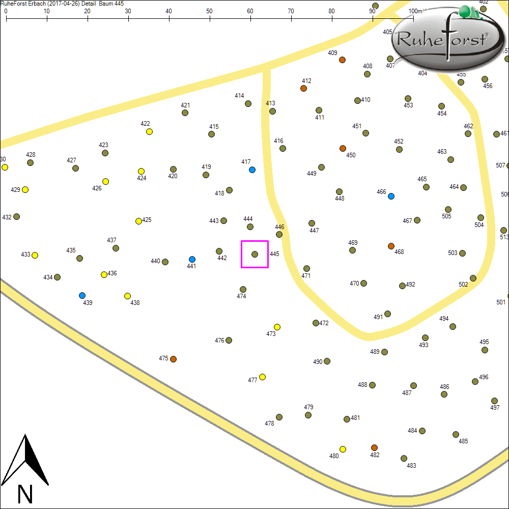 Detailkarte zu Baum 445