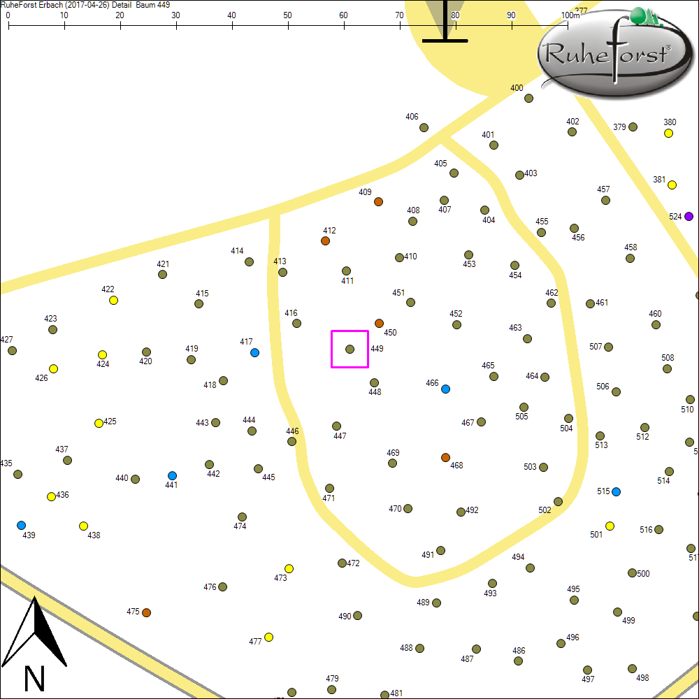 Detailkarte zu Baum 449