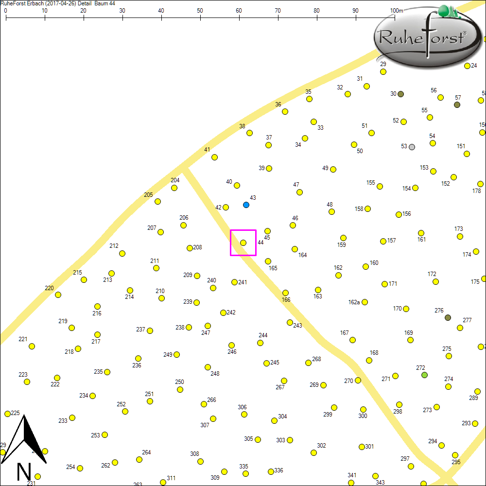 Detailkarte zu Baum 44