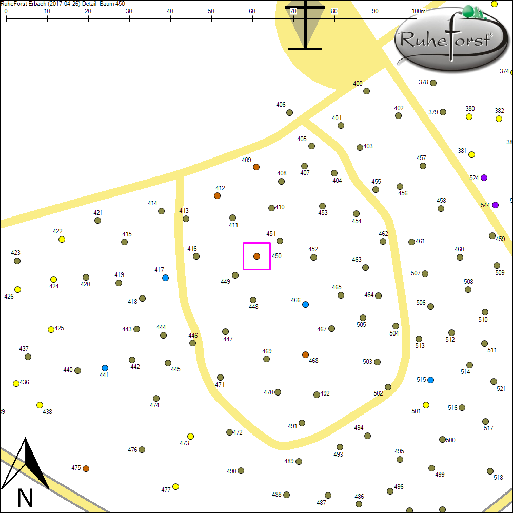 Detailkarte zu Baum 450