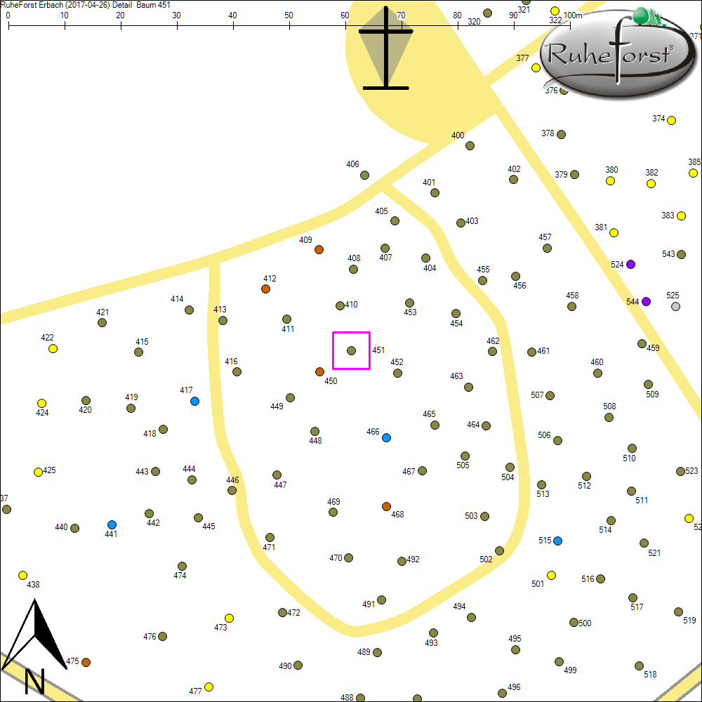 Detailkarte zu Baum 451