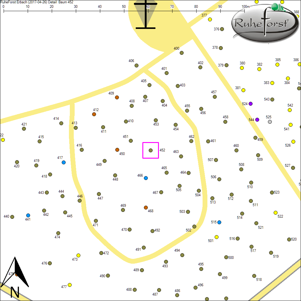 Detailkarte zu Baum 452
