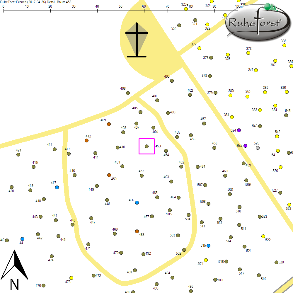 Detailkarte zu Baum 453