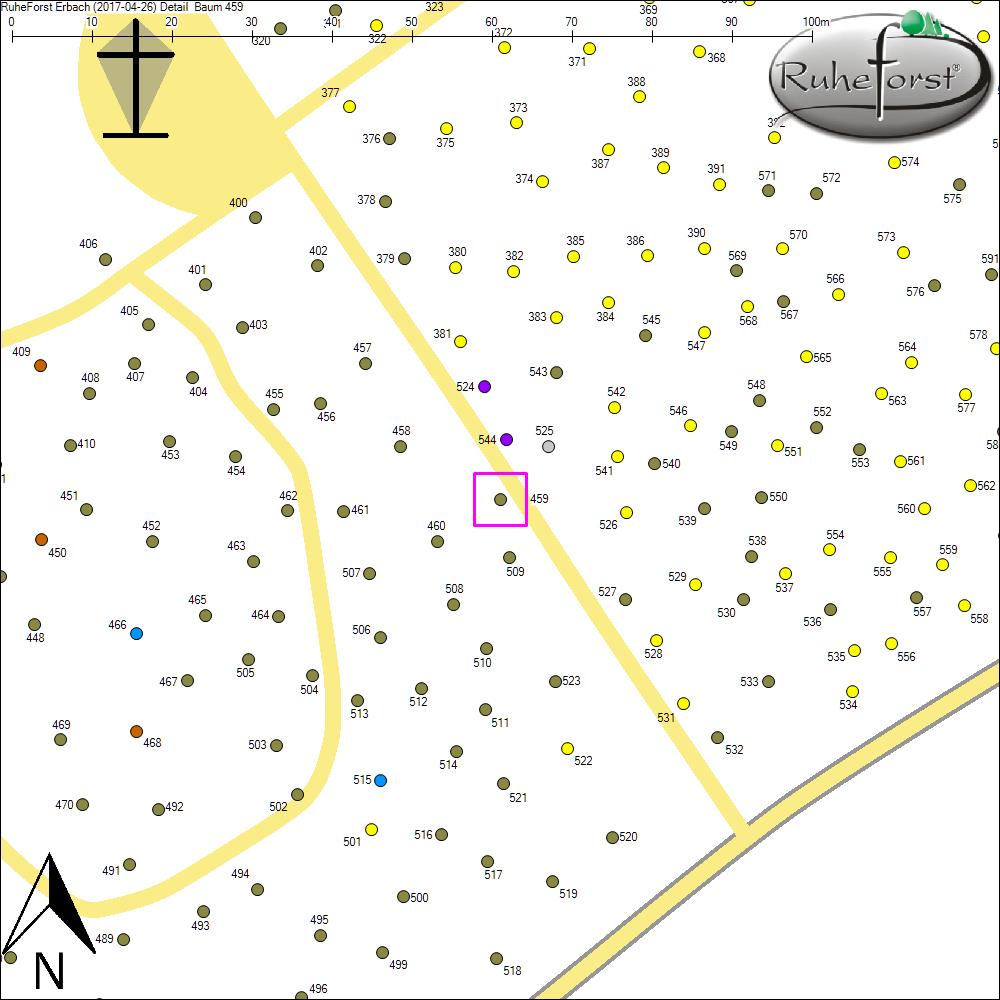Detailkarte zu Baum 459